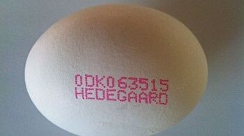 Danska- zemlja organske proizvodnje jaja