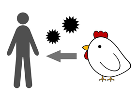 Avijarna influenca- ptičiji grip bolest koja sa sobom nosi velike ekonomske gubitke