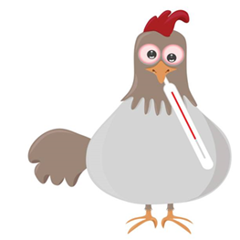 Avijarna influenca- ptičiji grip bolest koja sa sobom nosi velike ekonomske gubitke