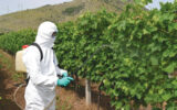 Upotreba pesticida