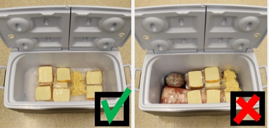 Higijenske mjere u sprječavanju kontaminacije prilikom proizvodnje sira