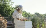 Female Worker Wearing Protective Suit While Examining Beehives At Farm