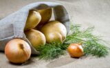 Potatoes and onion with dill