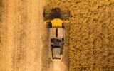 Top view of a combine harvester harvesting wheat from a field
