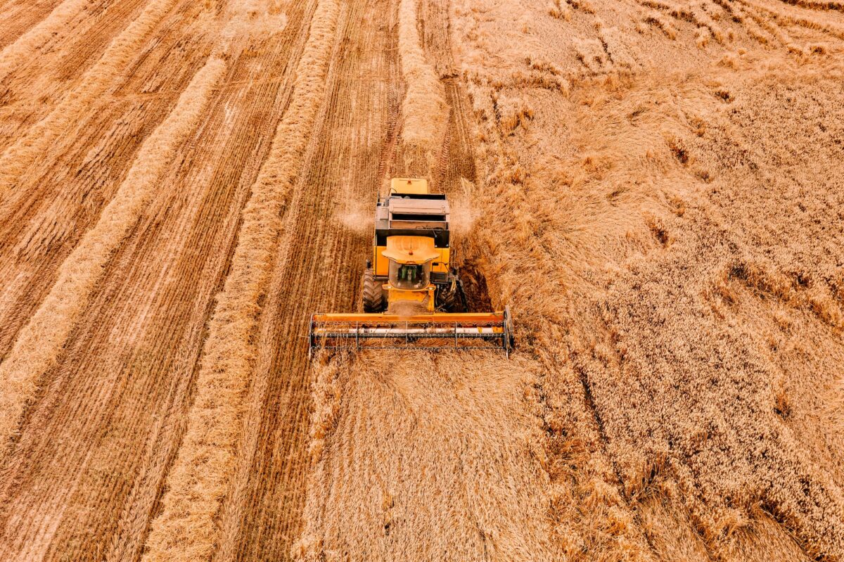 Aerial view of the combine harvester agriculture machine working on ripe wheat field.