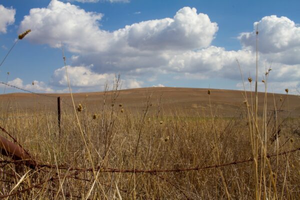 hay fields with rusty barb wire fence in outback Australia