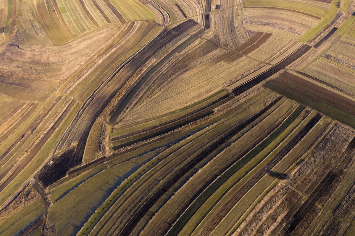Above aerial view over agricultural fields