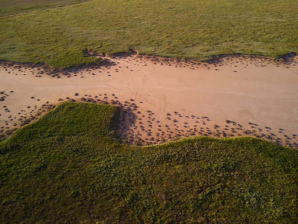 aerial view of green grass around a sandy ravine formed by rain