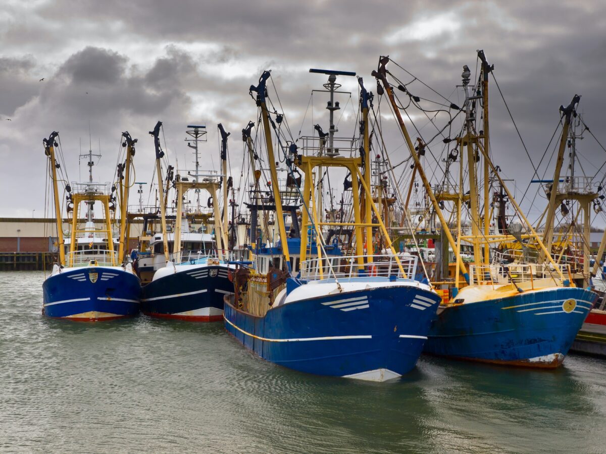 modern fishing fleet