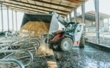 a man manoeuvring the shovel of a tractor, throwing soil into the cows cubicle housing