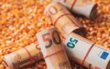 Fifty euros bankrolls, rolled European Union currency money over harvest corn maize grain