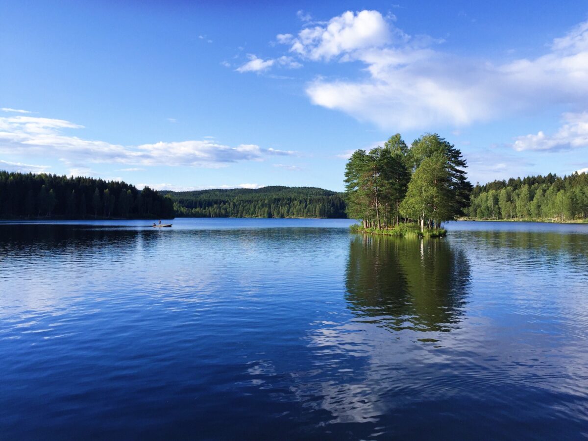 Summertime by the lake, gorgeous blue sky and sunlight, reflections in the water, nature, forest