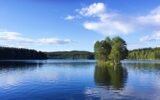 Summertime by the lake, gorgeous blue sky and sunlight, reflections in the water, nature, forest