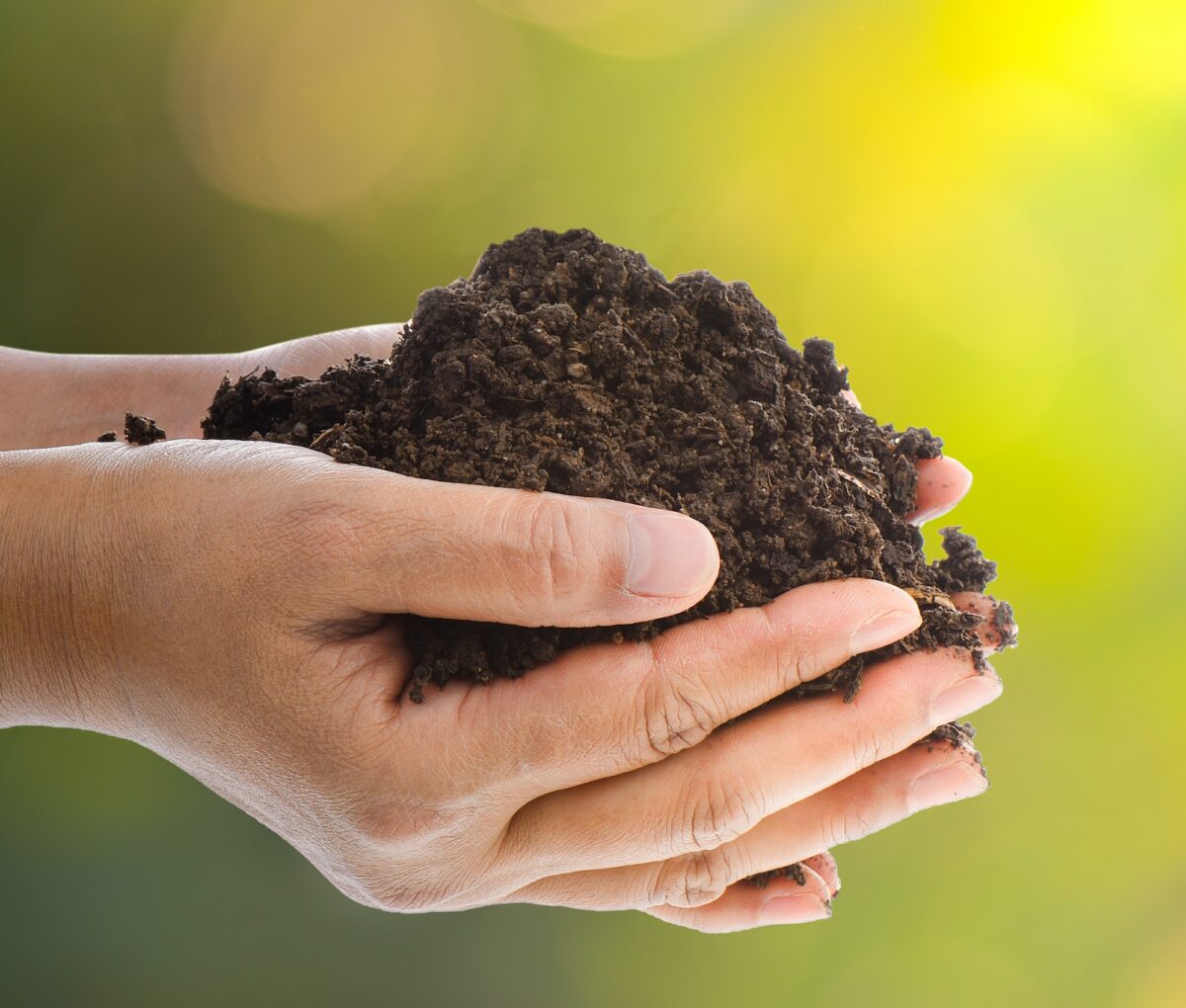 Handful of black soil over nature background