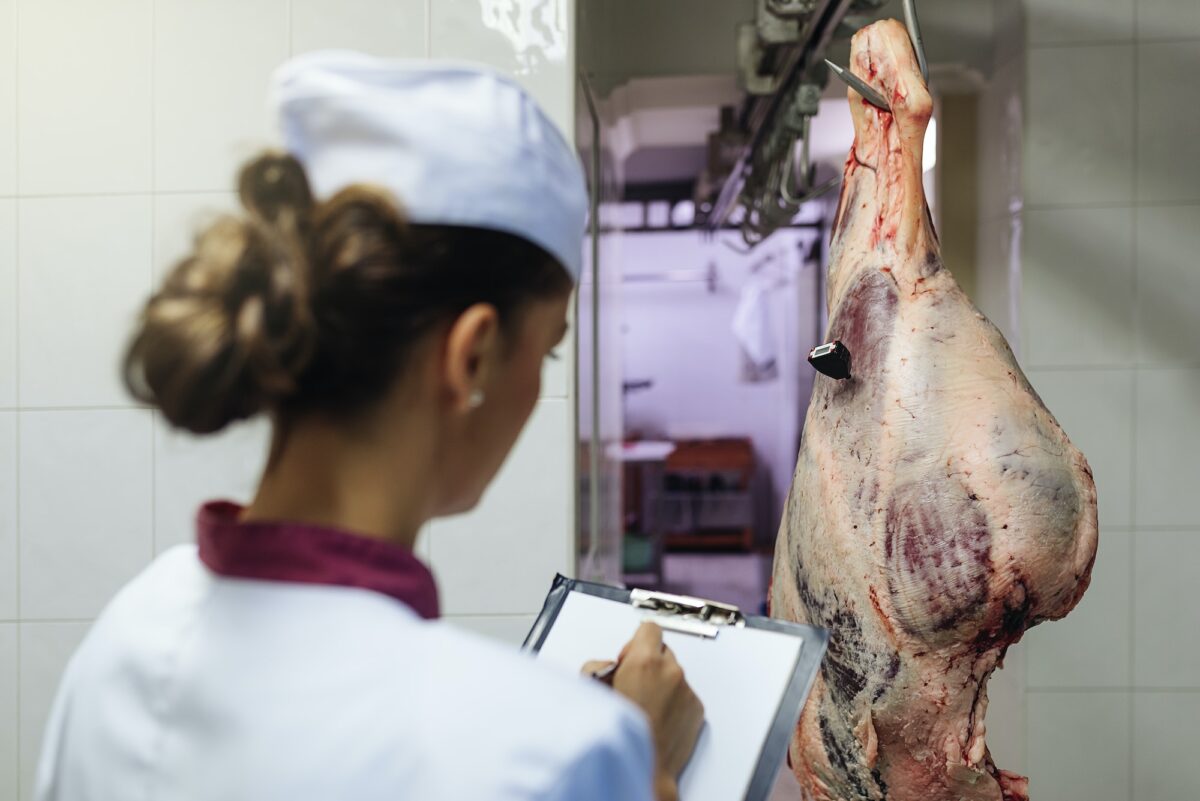 Meat quality control in butchery.