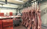 Sides of pork in cold storage of a slaughterhouse