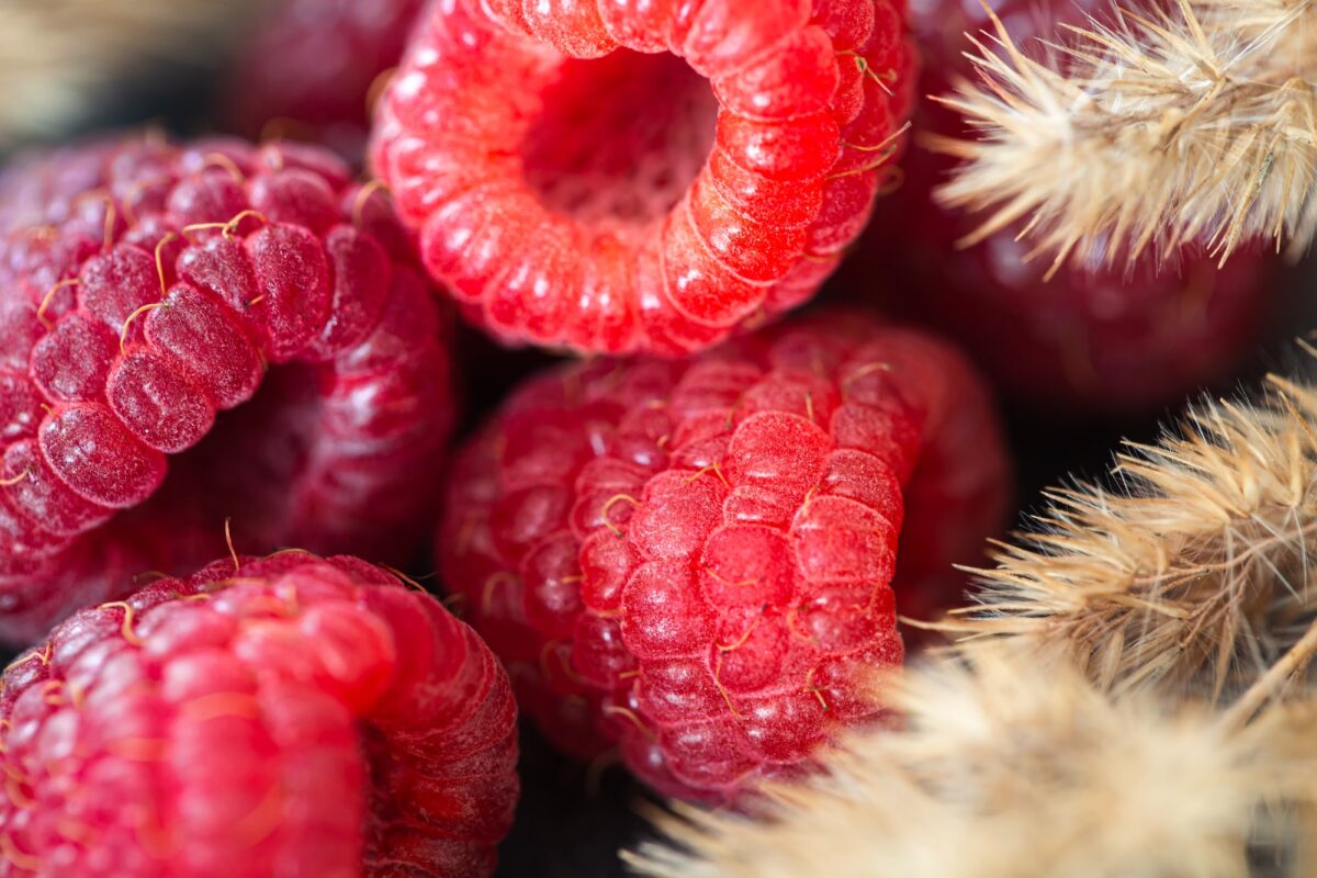 Ripe raspberries macro shot, selective focus, fruit background.